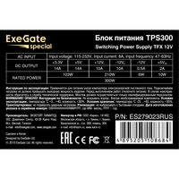   300W ExeGate TPS300