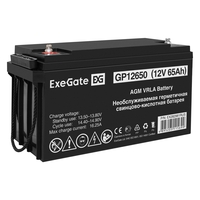  ExeGate GP12650