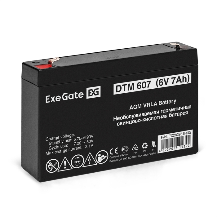  ExeGate DTM 607