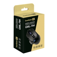  ExeGate GML-794